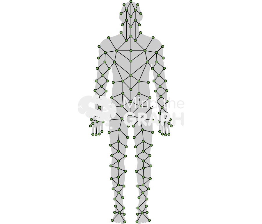 Human body man quadrants shape front Icons, Symbols, Pictures, and Images