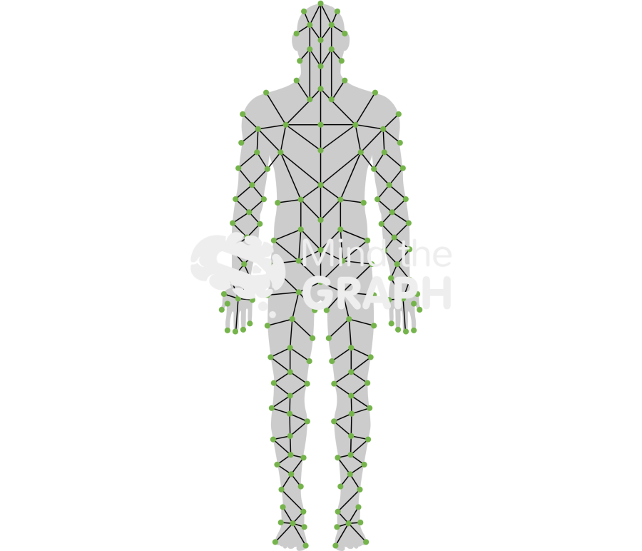 Human body man quadrants shape front Icons, Symbols, Pictures, and Images