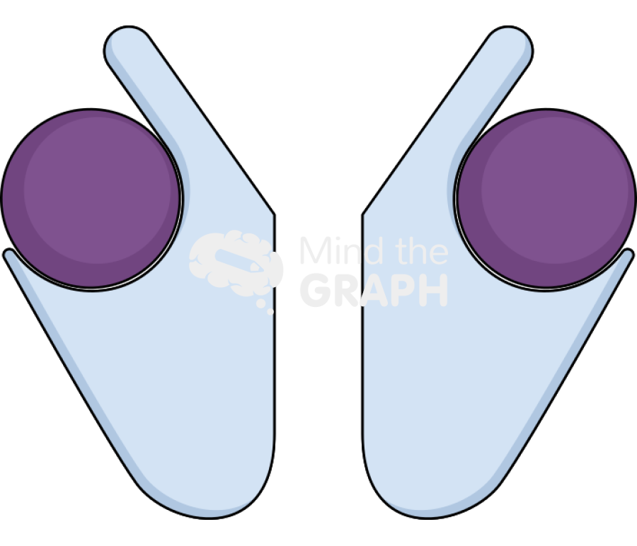 Ion channel linked receptor active Icons, Symbols, Pictures, and Images