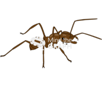 Leafcutter ant - Edit and Customize Icons of Leafcutter ant Leafcutter ant Icons, Symbols, Pictures, and Images