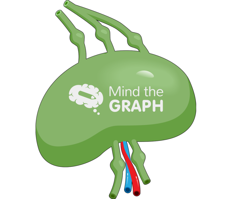 Lymph node Icons, Symbols, Pictures, and Images