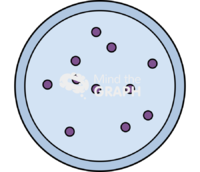 Lysosome 1 - Edit and Customize Icons of Lysosome 1 Lysosome 1 Icons, Symbols, Pictures, and Images