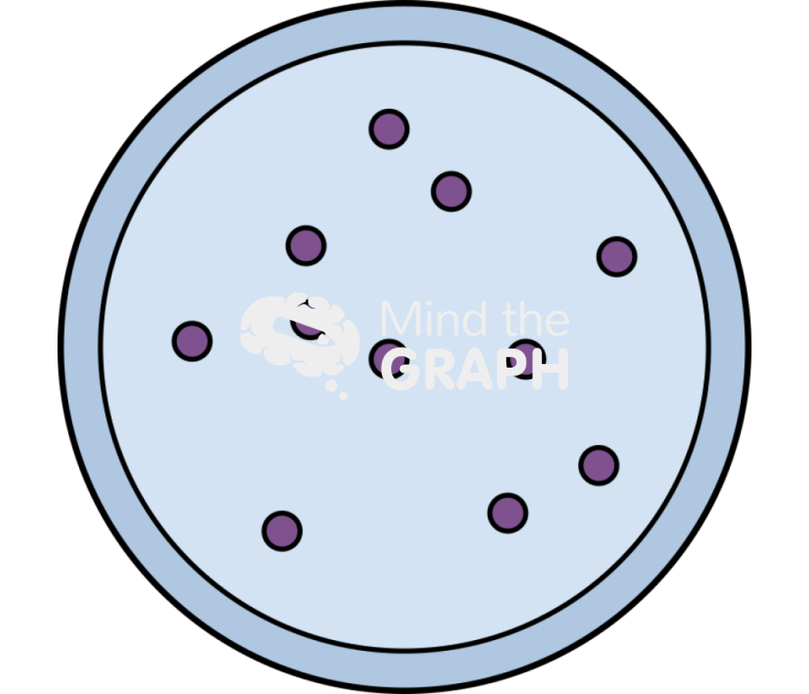 Lysosome 1 Icons, Symbols, Pictures, and Images