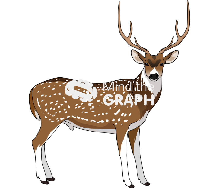 Male spotted deer chital axis axis Icons, Symbols, Pictures, and Images