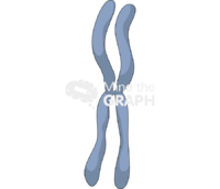 Metacentric chromosome - Edit and Customize Icons of Metacentric chromosome Metacentric chromosome Icons, Symbols, Pictures, and Images