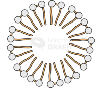 Micelle gemini - Edit and Customize Icons of Micelle gemini Micelle gemini Icons, Symbols, Pictures, and Images