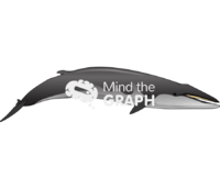 Minke whale - Edit and Customize Icons of Minke whale Minke whale Icons, Symbols, Pictures, and Images