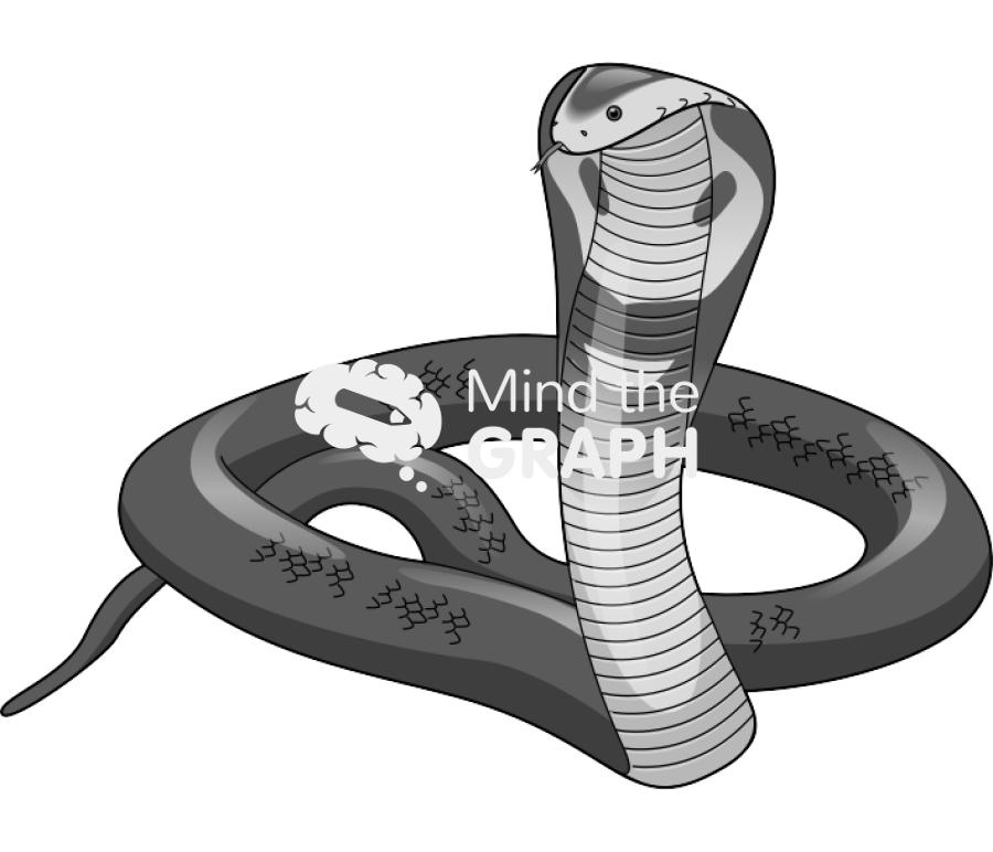 Naja snake 2 Icons, Symbols, Pictures, and Images