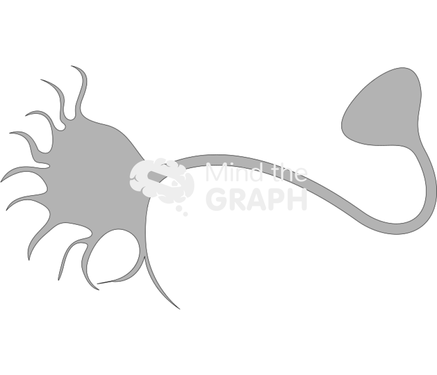 Neuron Icons, Symbols, Pictures, and Images