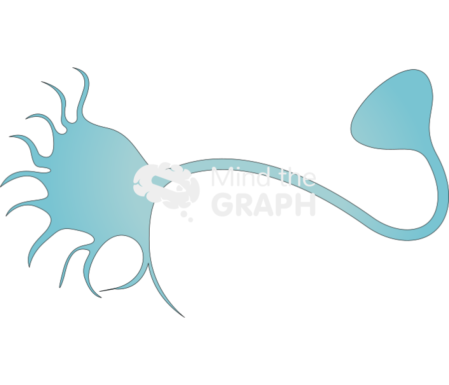 Neuron Icons, Symbols, Pictures, and Images
