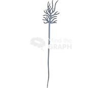 Neuron thalamocortical terminal - Edit and Customize Icons of Neuron thalamocortical terminal Neuron thalamocortical terminal Icons, Symbols, Pictures, and Images