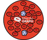 Neutropenia blood zoom - Edit and Customize Icons of Neutropenia blood zoom Neutropenia blood zoom Icons, Symbols, Pictures, and Images