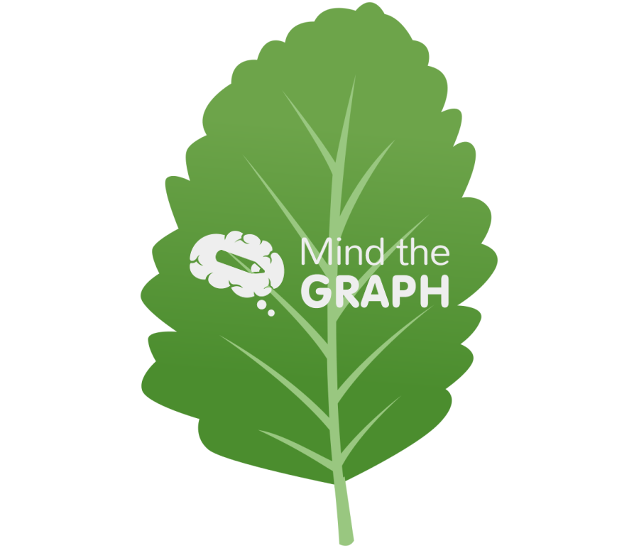 Nothofagus pumilio lenga leaf Icons, Symbols, Pictures, and Images