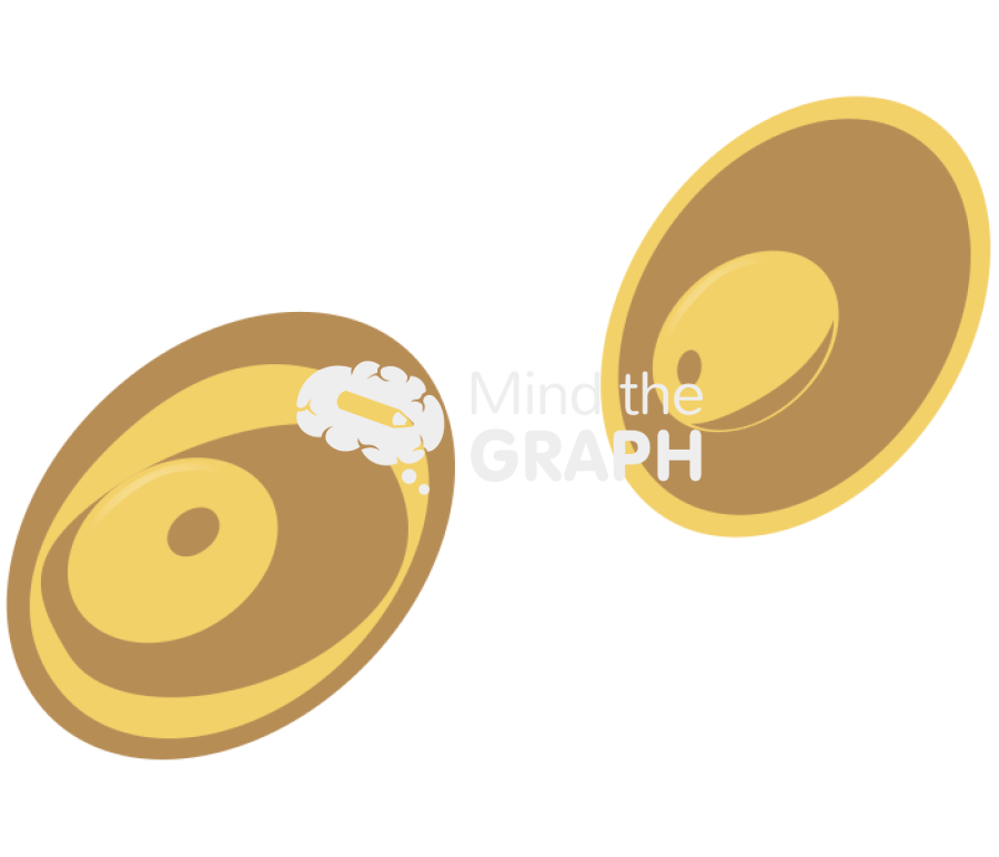 Plasmodium gametocytes Icons, Symbols, Pictures, and Images