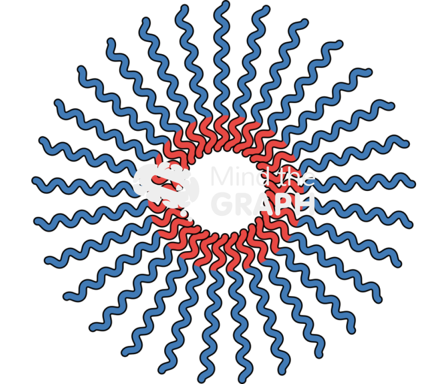 Polymeric micelle nanoparticle Icons, Symbols, Pictures, and Images