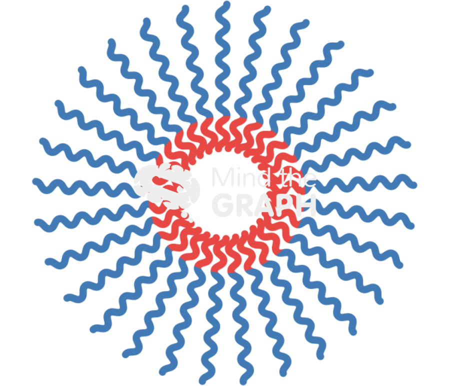 Polymeric micelle nanoparticle Icons, Symbols, Pictures, and Images