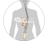 Pregnancy musculoskeletal system baby - Edit and Customize Icons of Pregnancy musculoskeletal system baby Pregnancy musculoskeletal system baby Icons, Symbols, Pictures, and Images