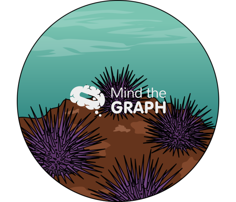 Purple sea urchin habitat zoom Icons, Symbols, Pictures, and Images