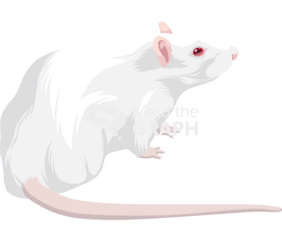 Rat 2 Icons, Symbols, Pictures, and Images