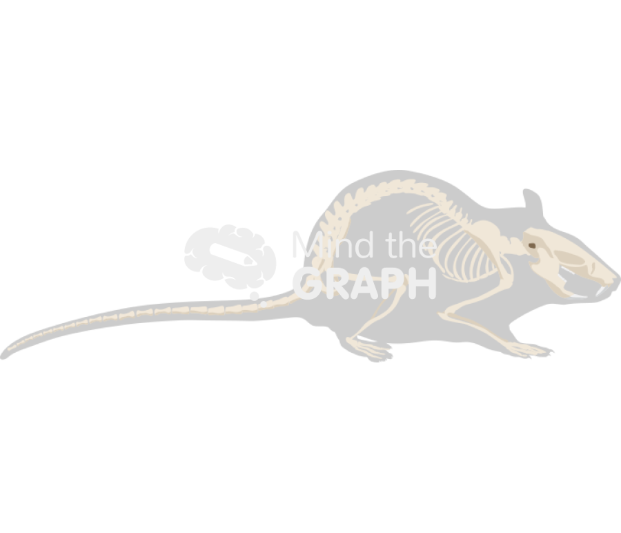 Rat skeleton sagittal shape Icons, Symbols, Pictures, and Images