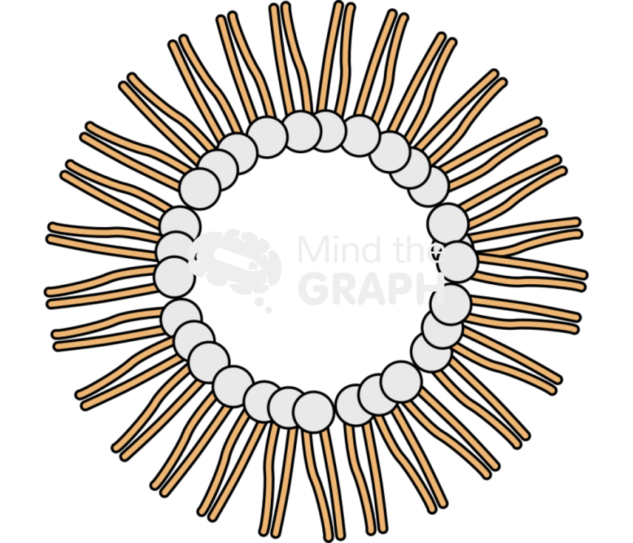 Reverse micelle Icons, Symbols, Pictures, and Images