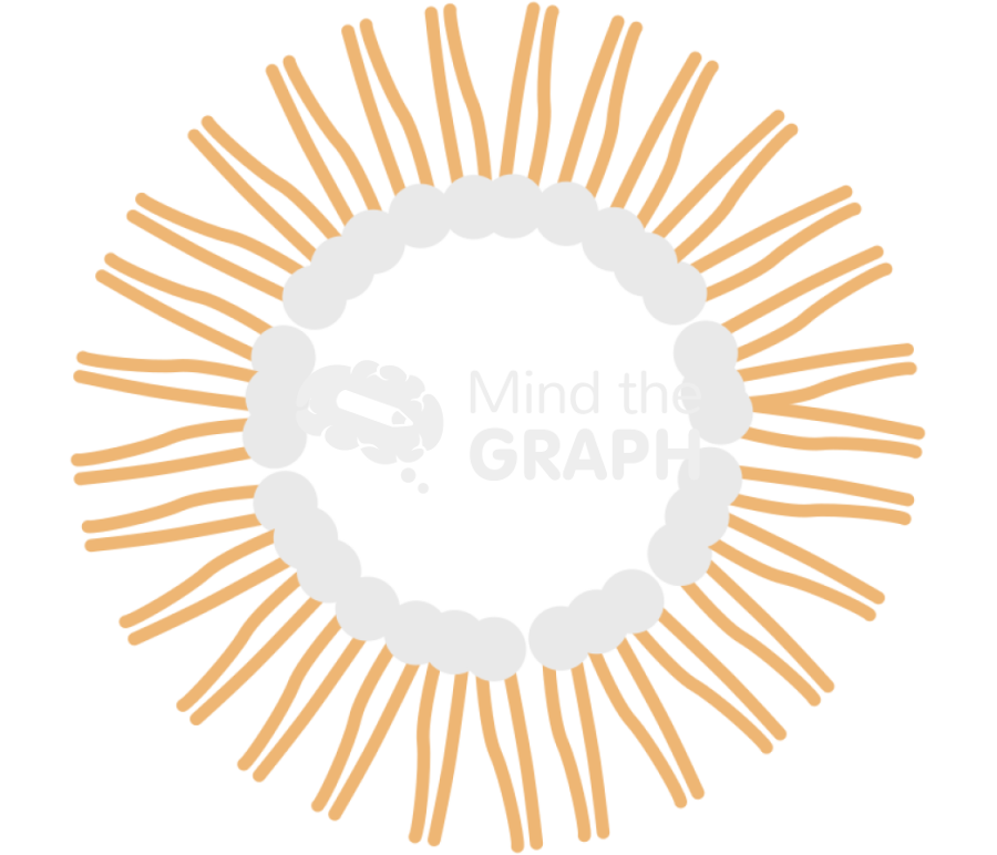 Reverse micelle Icons, Symbols, Pictures, and Images