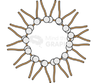 Reverse micelle gemini - Edit and Customize Icons of Reverse micelle gemini Reverse micelle gemini Icons, Symbols, Pictures, and Images