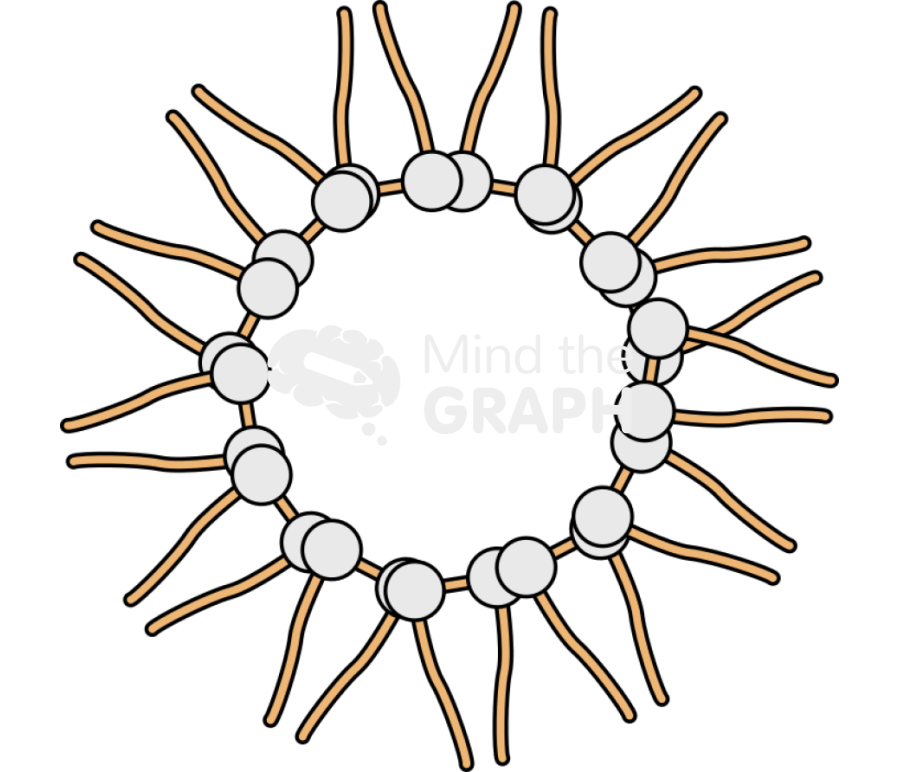 Reverse micelle gemini Icons, Symbols, Pictures, and Images