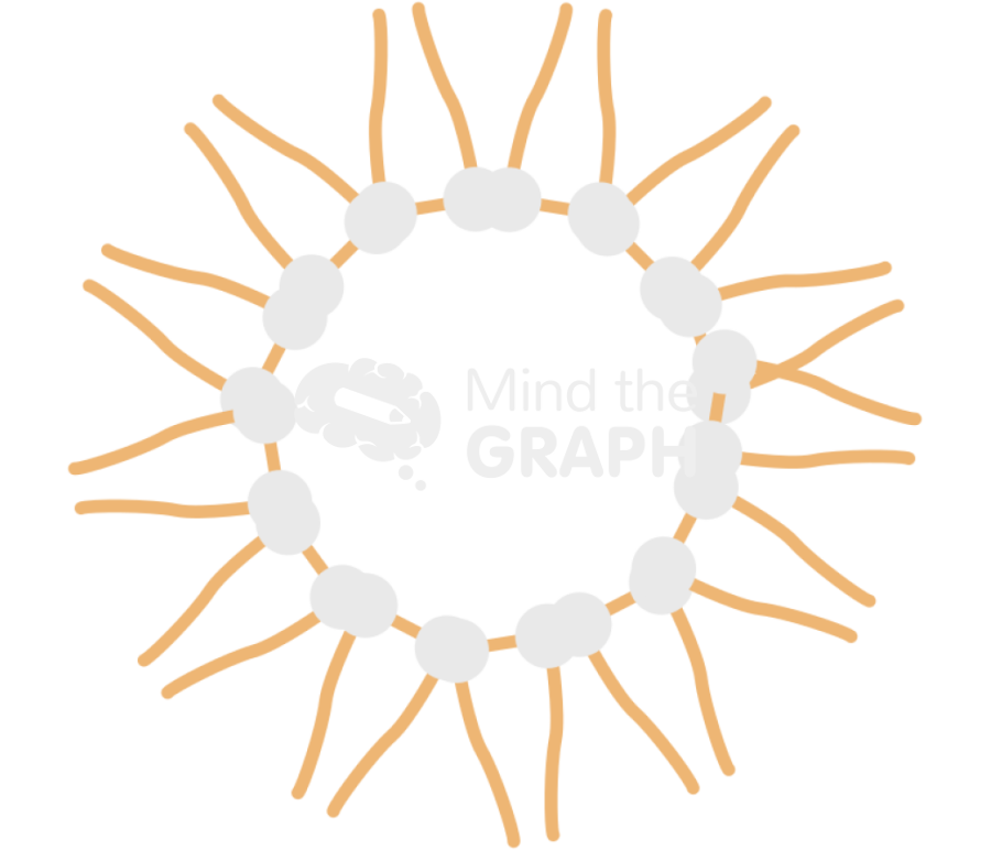 Reverse micelle gemini Icons, Symbols, Pictures, and Images