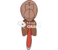 Sea lice female - Edit and Customize Icons of Sea lice female Sea lice female Icons, Symbols, Pictures, and Images