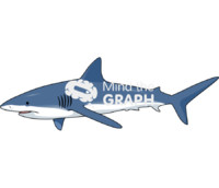 Shark - Edit and Customize Icons of Shark Shark Icons, Symbols, Pictures, and Images