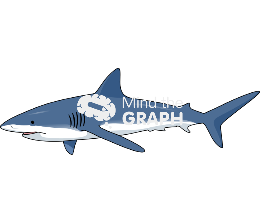 Shark Icons, Symbols, Pictures, and Images