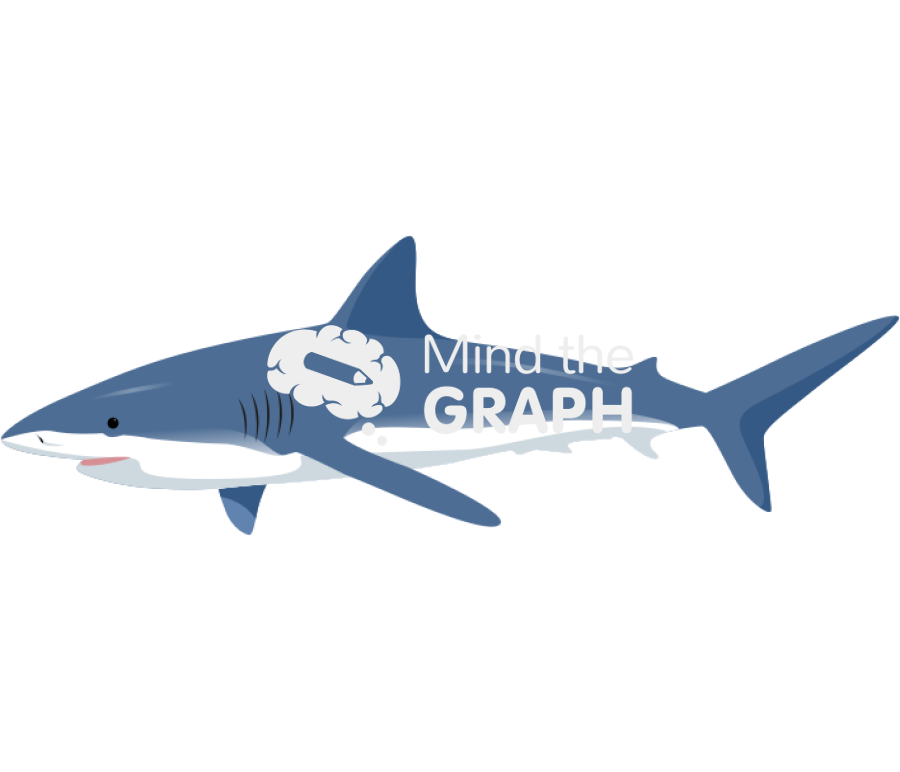 Shark Icons, Symbols, Pictures, and Images