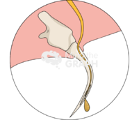 Snake fang - Edit and Customize Icons of Snake fang Snake fang Icons, Symbols, Pictures, and Images