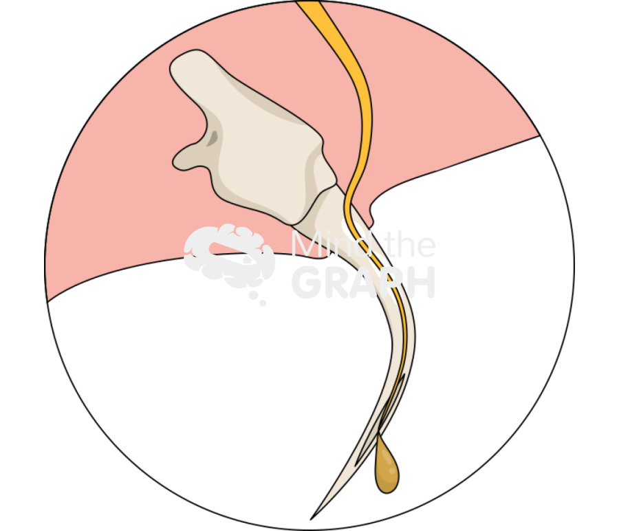 Snake fang Icons, Symbols, Pictures, and Images