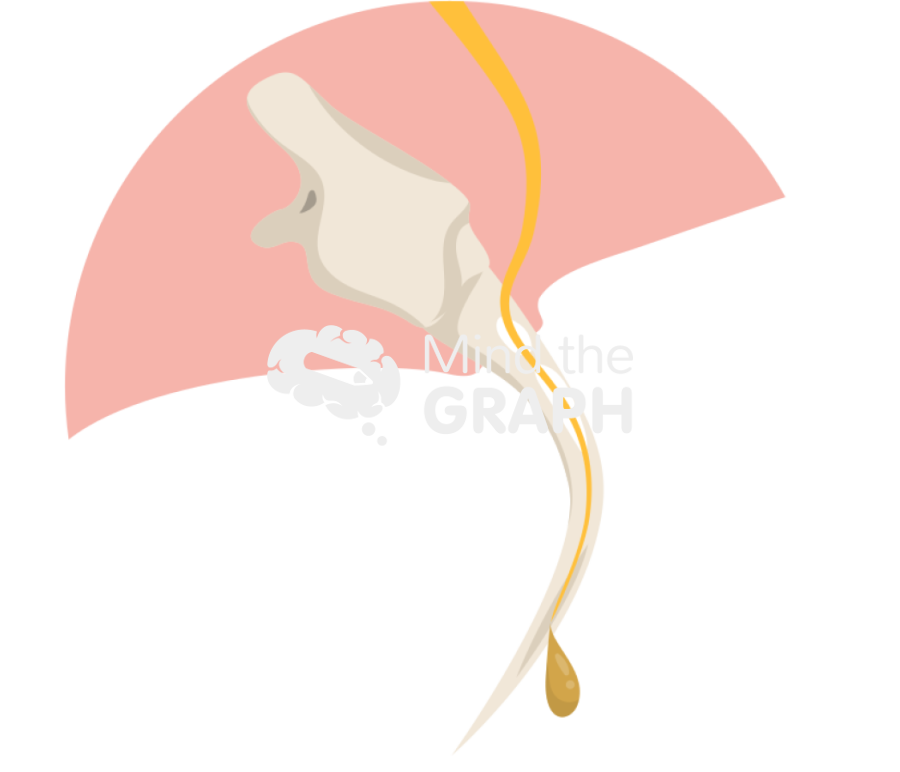 Snake fang Icons, Symbols, Pictures, and Images