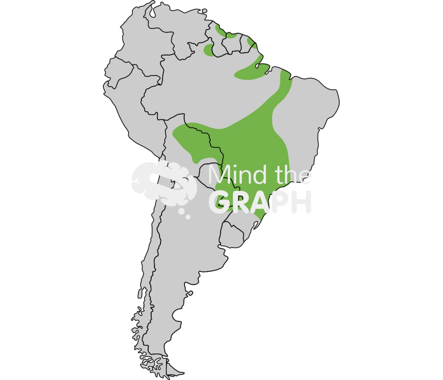 South america toucan habitat Icons, Symbols, Pictures, and Images