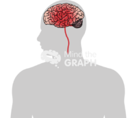 Stroke human body zoom - Edit and Customize Icons of Stroke human body zoom Stroke human body zoom Icons, Symbols, Pictures, and Images