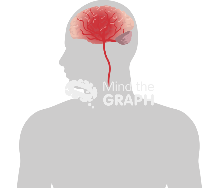 Stroke human body zoom Icons, Symbols, Pictures, and Images