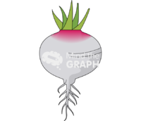 Tap root - Edit and Customize Icons of Tap root Tap root Icons, Symbols, Pictures, and Images