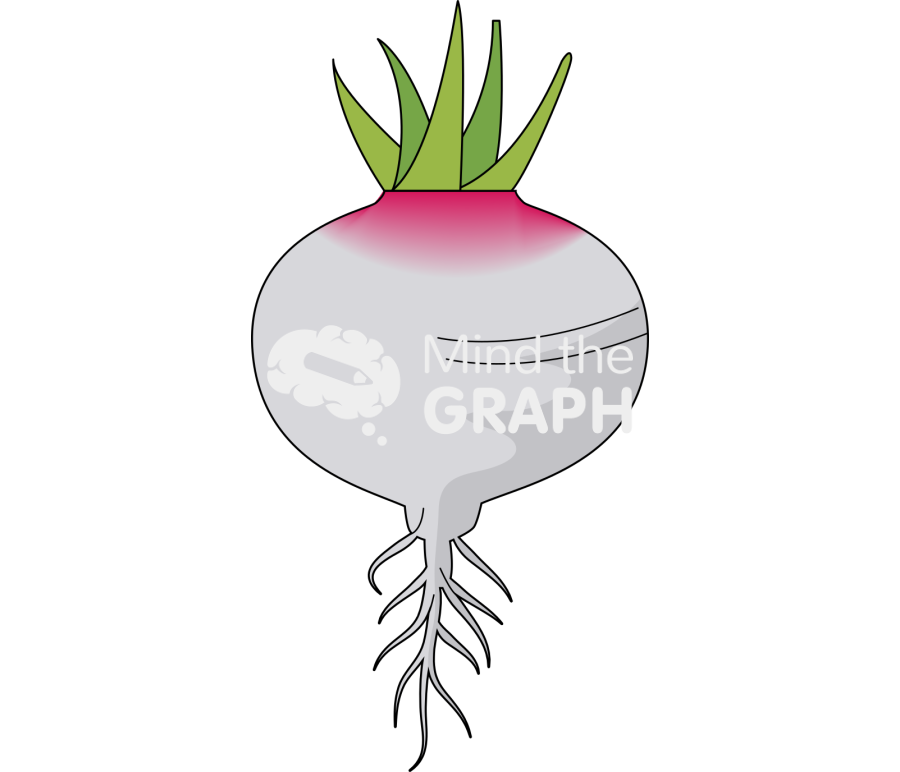 Tap root Icons, Symbols, Pictures, and Images