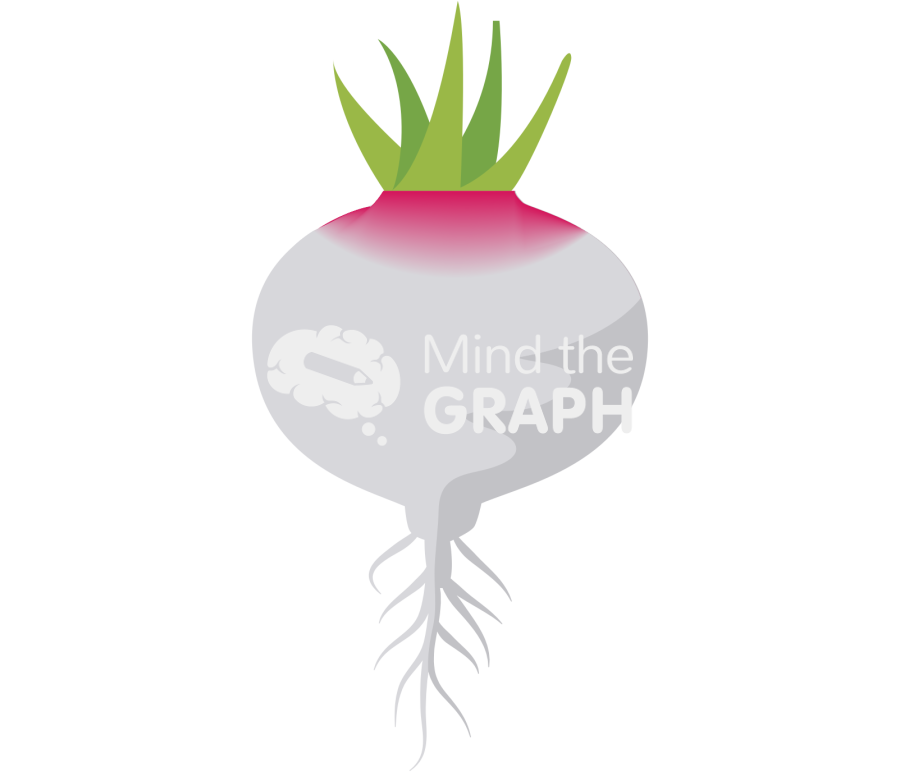 Tap root Icons, Symbols, Pictures, and Images