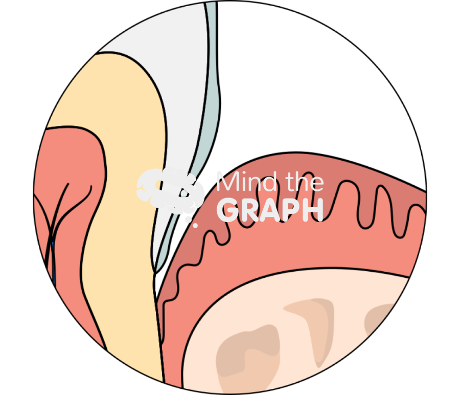 Teeth oral mucosa zoom Icons, Symbols, Pictures, and Images
