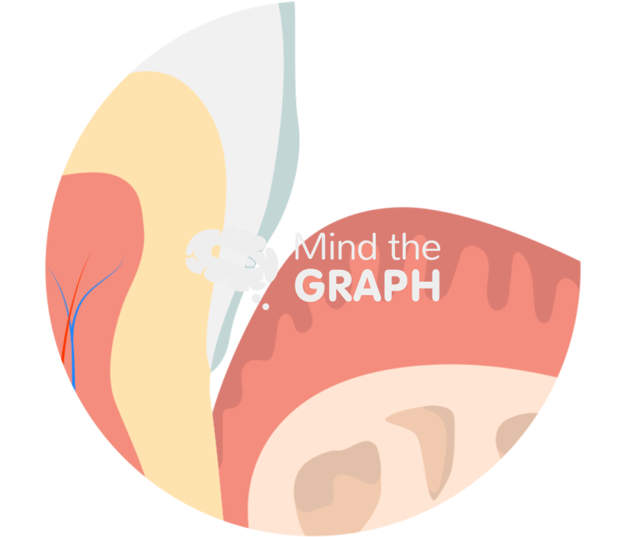 Teeth oral mucosa zoom Icons, Symbols, Pictures, and Images