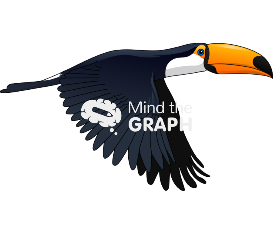 Toucan ramphastos toco flying lateral Icons, Symbols, Pictures, and Images