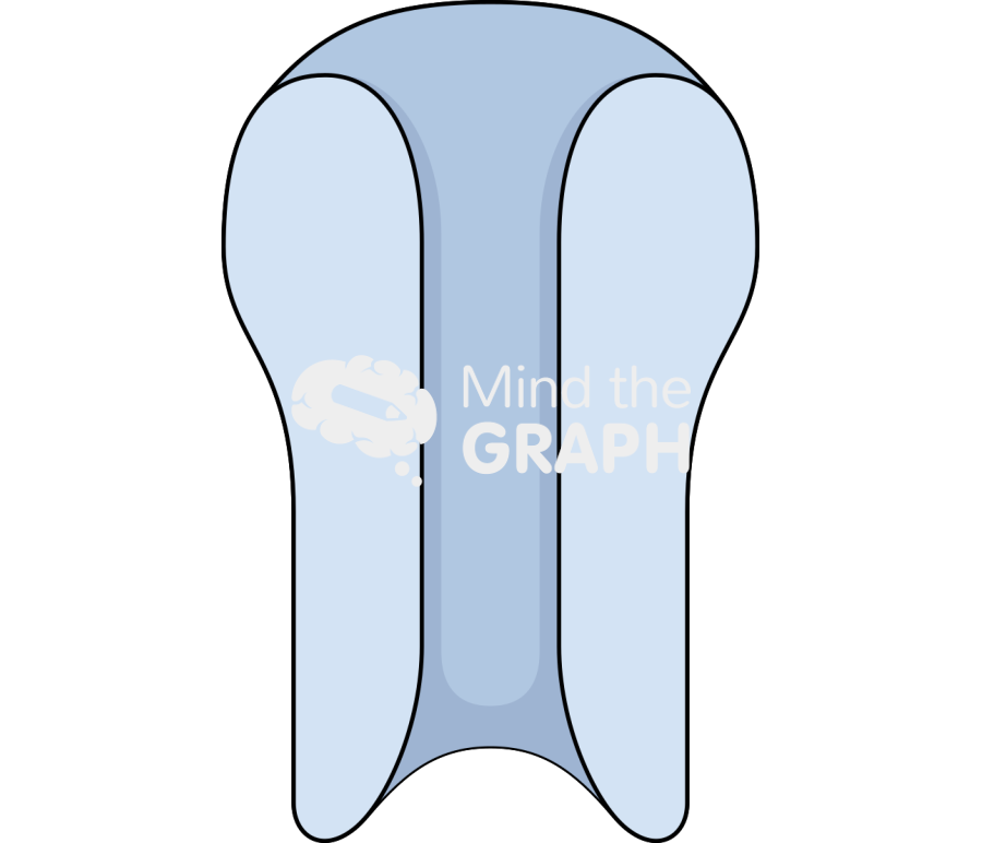 Transporter Icons, Symbols, Pictures, and Images