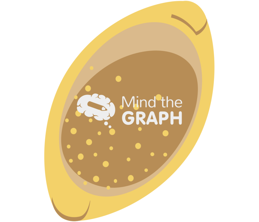 Trichuris eggs 1 Icons, Symbols, Pictures, and Images