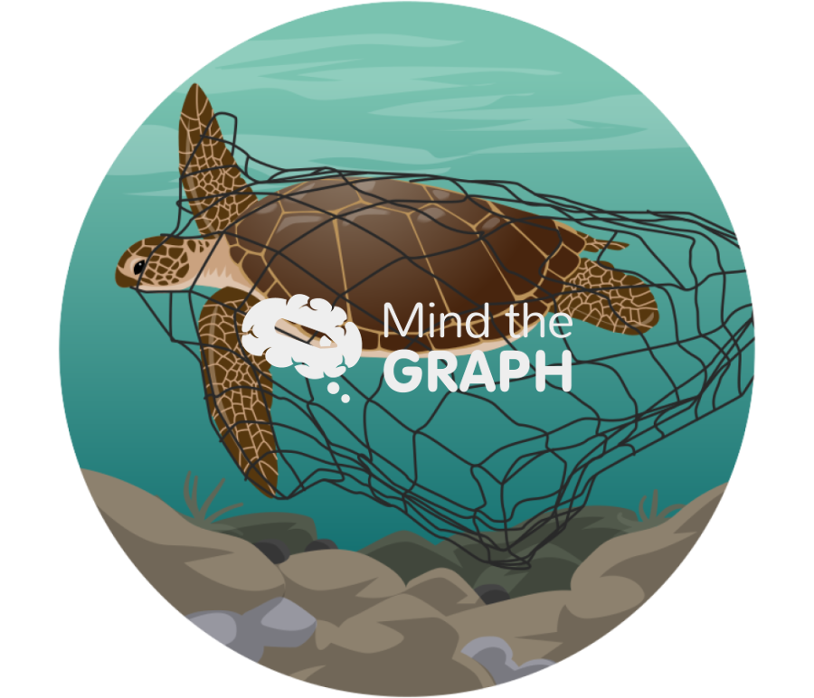 Turtle caught net zoom Icons, Symbols, Pictures, and Images