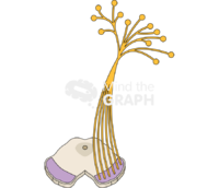 Upper midbrain central nervous perspective - Edit and Customize Icons of Upper midbrain central nervous perspective Upper midbrain central nervous perspective Icons, Symbols, Pictures, and Images