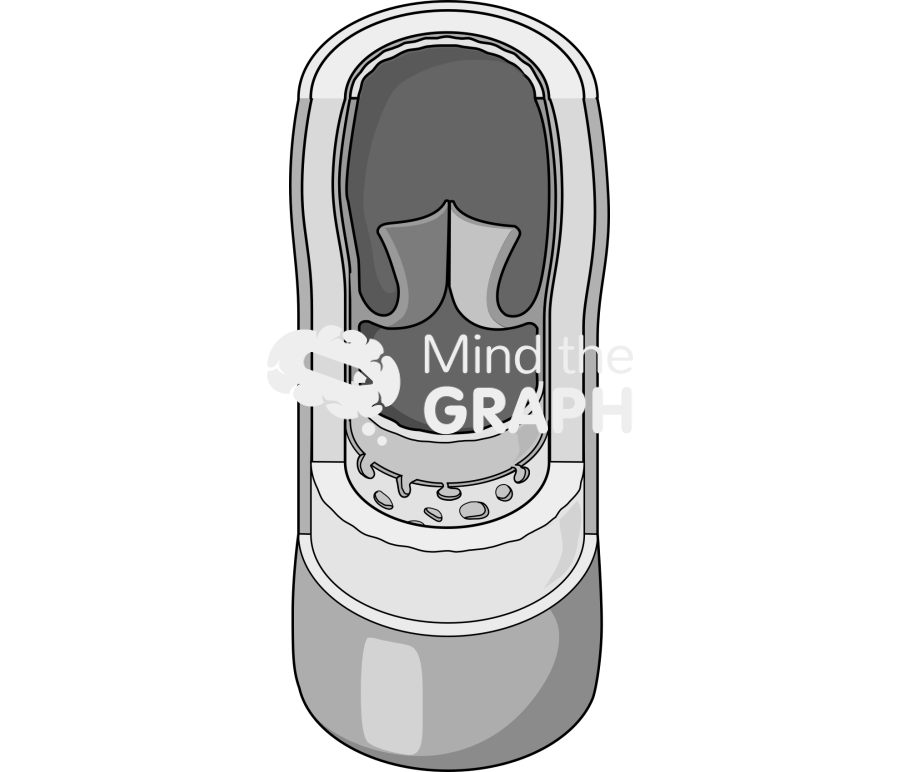 Vein Icons, Symbols, Pictures, and Images